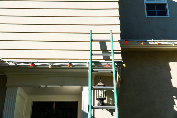 Best Stone Veneer Siding  in Forest Ranch, CA