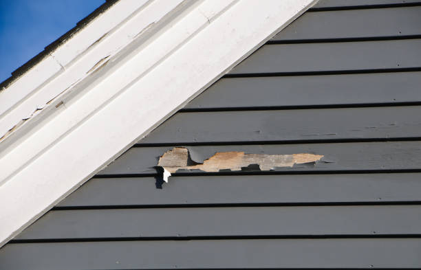Reliable Forest Ranch, CA Siding Installation & Repair Solutions